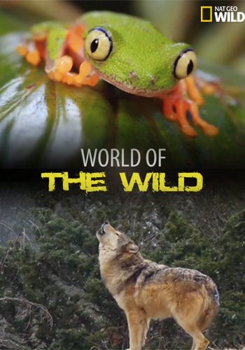 Мир дикой природы (1-13 серий из 13) / World of the Wild DUB