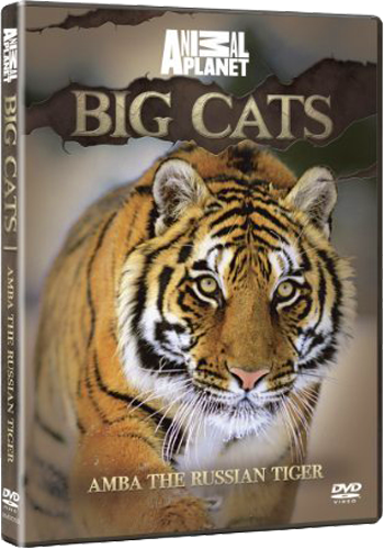 Амба, русский тигр / Animal Planet. Amba the Russian Tiger VO