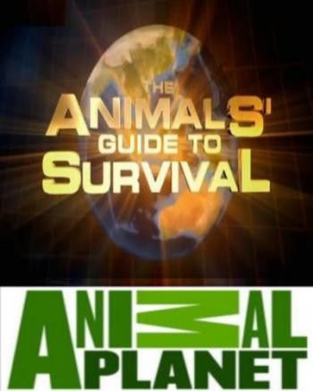 Как выжить животным (1-7 серии из 7) / Animal Planet. The Animals' guide to Survival VO