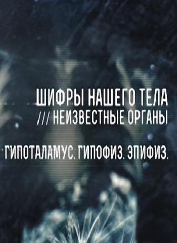 Шифры нашего тела (1-7 серии из 7)