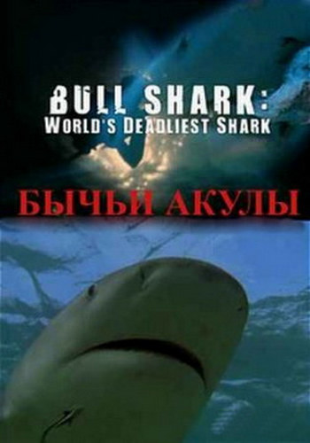 Бычья акула: самая опасная акула в мире / Bull Shark: World's Deadliest Shark VO