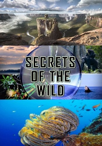 Тайны дикой природы (1-3 серии из 3) / National Geographic. Secrets Of The Wild VO