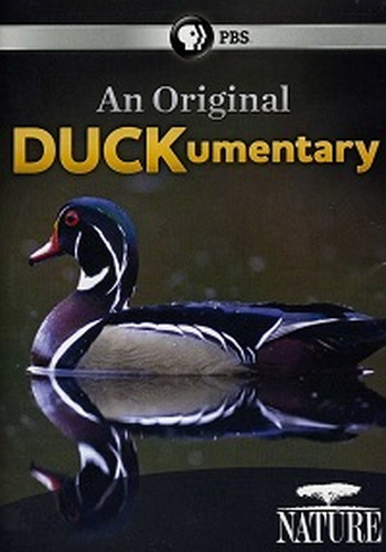 Необычный документальный фильм про уток / An Original DUCKumentary VO