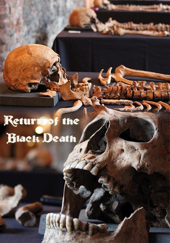 Разоблачение чёрной смерти / Return of the Black Death DVO