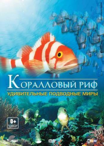 Коралловый риф: Удивительные подводные миры / Faszination Korallenriff: Fremde Welten unter Wasser VO