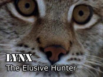 Рысь: Неуловимый охотник / Nature. Lynx: The Elusive Hunter VO