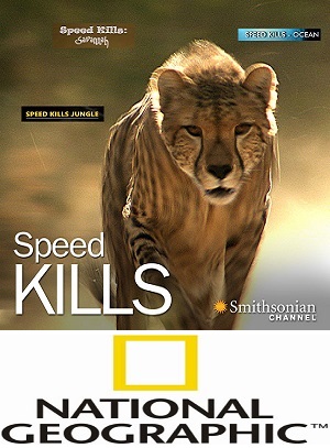 Убийственная скорость (1-3 серии из 3) / NAT GEO WILD. Speed Kills DUB