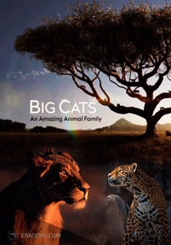 Большие кошки. Удивительная семья (1-2 серии из 2) / NAT GEO WILD. Big Cats: An Amazing Animal Family VO