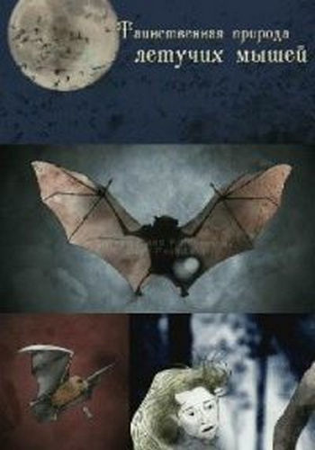 Таинственная природа летучих мышей / Bats DUB