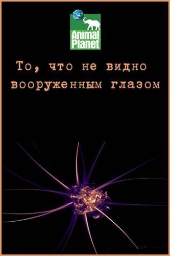 То, что не видно вооруженным глазом / Animal Planet. Beyond the Naked Eye VO
