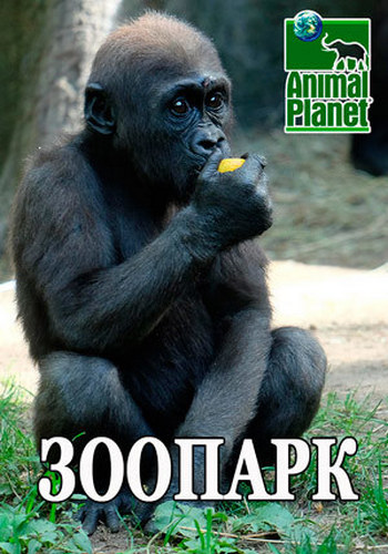 Зоопарк (1-8 серий из 8) / The Bronx Zoo VO