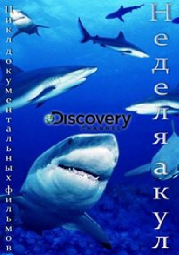 Неделя акул (1-8 серии из 8) / Discovery. Shark Week DUB