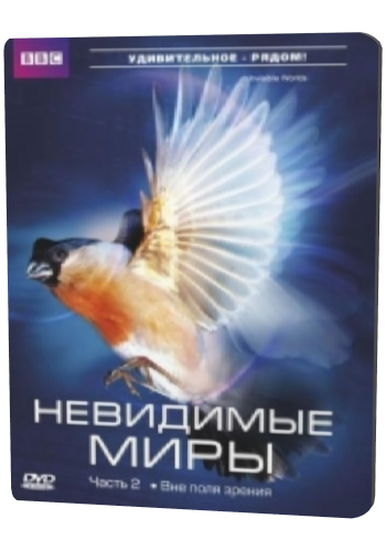 Невидимые миры (1-3 серии из 3) / BBC. Richard Hammond's Invisible Worlds DVO