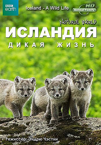 Мир природы. Исландия: Дикая жизнь / Natural World. Iceland a Wild Life DVO