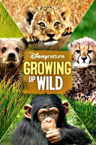 Малыши в дикой природе / Growing Up Wild DUB