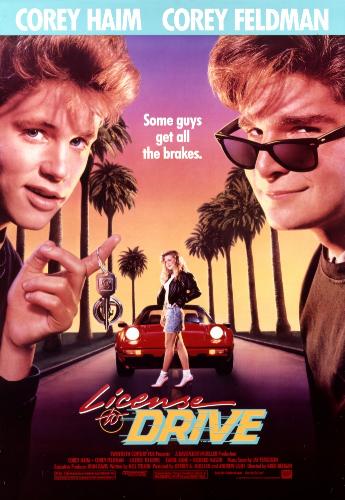 Водительские права / Право на вождение / License to Drive AVO+DVO