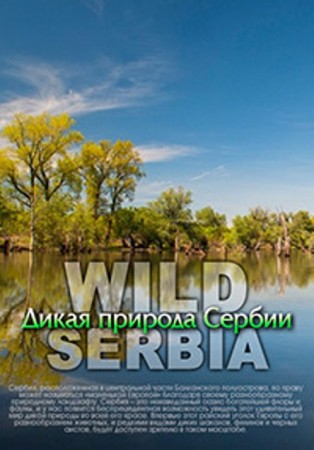 Дикая природа Сербии / Wild Serbia DUB