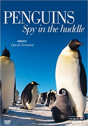 Пингвин: Шпион под прикрытием (1-3 серии из 3) / BBC. Penguins - Spy In The Huddle VO