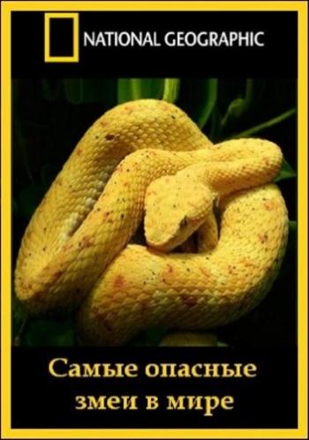 Самые опасные змеи в мире / NAT GEO WILD. World's deadliest snakes DUB