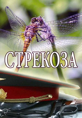 Стрекоза (1-4 серии из 4)