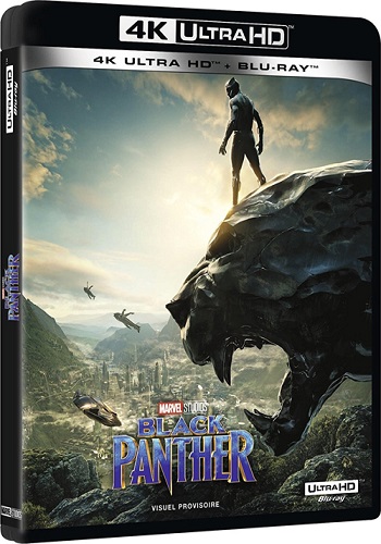 Чёрная Пантера / Black Panther DUB+MVO