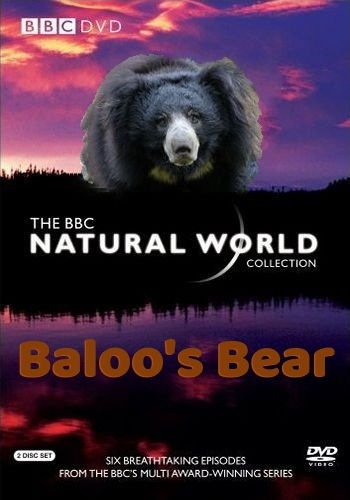 Медведь Балу / BBC. Bear VO