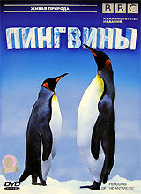 Документальный про пингвинов. ВВС пингвины. Пингвин меню. Фарс пингвинов (DVD).